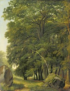 Een Bebost Landschap